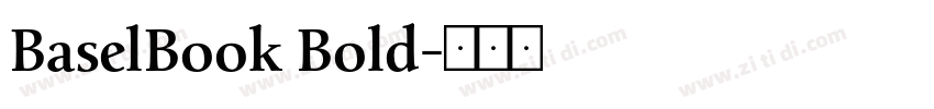 BaselBook Bold字体转换